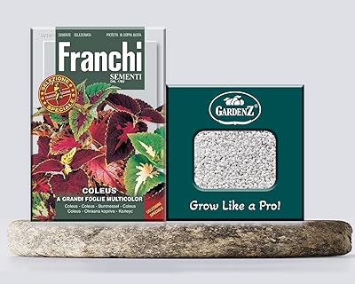 Coleus seeds | Model D3141 | Brand crossed | Origin Italy + Perlite agricultural box (5 liters) of Gardens.. Elevate your shopping experience with DIAYTAR NIGERIA's vast catalog and budget-friendly options.