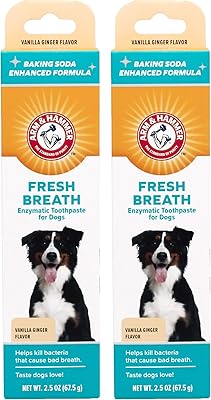Arm & Hammer 4 farts Enzymatic toothpaste Fresh Breath for dogs with vanilla flavor and ginger | Dog toothpaste with a flavor that dogs will love | 2.5 ounces - Package of 2.. Your e-commerce hub for everything — DIAYTAR Nigeria has you covered.