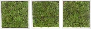 Set of 3 frames in natural carved foam Greenroad - green.. Shop across categories at DIAYTAR NIGERIA with the confidence of prompt and budget-friendly delivery.