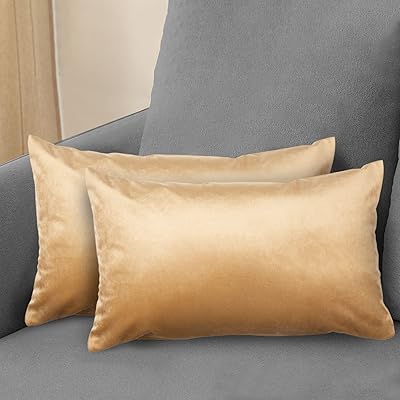 Set of 2 comfortable velvet cushion covers, 30 x 50 cm, decorative cushion covers, bedroom cushion cover, decorative cushion cover for sofa with zipper, beige beige.. DIAYTAR NIGERIA: Connecting Nigerians with affordable products through our expansive e-commerce platform.