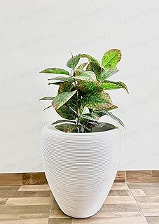 Pure white fiberglass pots for interior and exterior use for plants with drainage holes/flower trees/tray included (white (size s) ").. Why shop anywhere else? DIAYTAR Nigeria has it all and delivers fast.