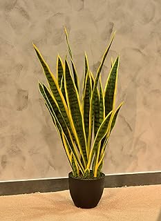 Artificial plants 87 cm, false small tongue plants with plastic pot - snake plant - false plants.. DIAYTAR NIGERIA brings the marketplace to your home with budget-friendly prices and nationwide delivery.