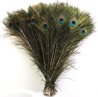 Real natural peacock feathers (50 pieces, 10 to 12 inches).. DIAYTAR NIGERIA transforms how Nigerians shop with our affordable prices and dependable shipping times.
