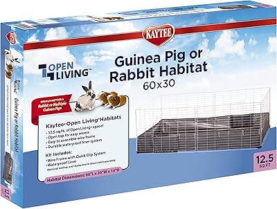 House for guys from India or Rabbit Katie of Open Living 60 "X.. DIAYTAR NIGERIA: Your trusted partner for affordable online shopping with reliable delivery timeframes.