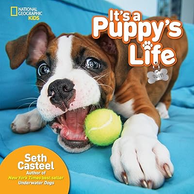 It's the life of a puppy.. DIAYTAR NIGERIA connects you with thousands of products at competitive prices, delivered within a week.