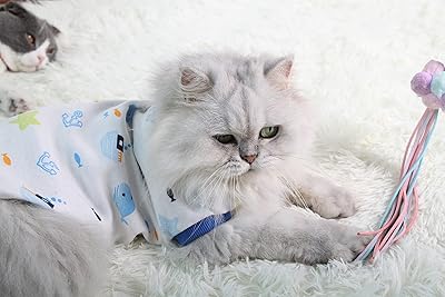 AA+A T-shirt in soft cotton for puppies and kittens (blue, size s).. Shop from thousands of products at DIAYTAR NIGERIA and enjoy budget-friendly nationwide delivery.