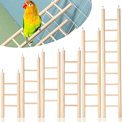 6 pieces of wooden ladder for birds in 6 sizes, wooden hanging ladder for birds and ladders for parrots, climbing toys for parrots, parakeets, rackets and lovebirds.. Great finds. Great prices. Fast shipping. That’s DIAYTAR Nigeria.