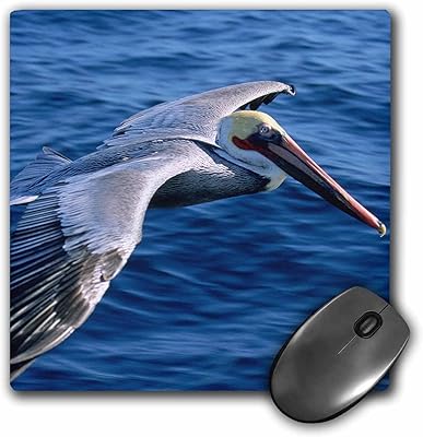 3Drose LLC mouse carpet 20.3 x 20.3 x 0.6 cm, Douglas Peebles (MP_83385_1).. With DIAYTAR Nigeria, shopping online is easy, affordable, and fast.