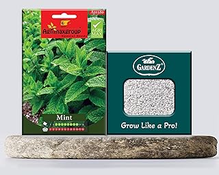 AG0380 Mint seeds with high yield + perlite planter (5L) Bay Gardens.. DIAYTAR NIGERIA: Your gateway to affordable shopping with thousands of products delivered nationwide.