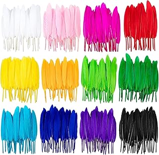 600 colorful feathers, 12 goose feathers for crafts, earrings, crafts, wedding, baby shower, hats, jewelry, clothes, accessories, earrings by Elekoden.. DIAYTAR NIGERIA: Where affordability meets variety in Nigeria's most comprehensive online marketplace.