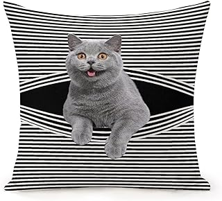 Cat -shaped cushion in the shape of British Shorthair striped black and white, aesthetic pillowcase for bedroom, house decoration, living room, dormitory, bed, 18 "x 18" sofa.. Enjoy deals you can’t resist and delivery you can trust — DIAYTAR Nigeria.