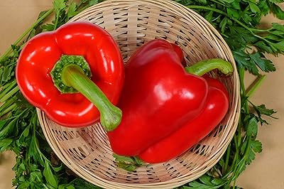 10 summer vegetables capsicum red pepper f-1 hybrids to cultivate in your home and vegetable garden... Shop with confidence at DIAYTAR NIGERIA, enjoying competitive prices and delivery within 8 days.