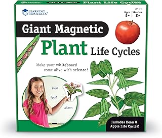 Learning Resources Life cycle of a giant magnetic plant, multicolored, 7 "L x 9" H.. DIAYTAR NIGERIA brings the market to your screen with thousands of affordable products delivered to your door.