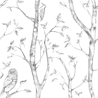Wooden wallpaper to peel off and stick naked and naked piper1412, gray.. Shop from Nigeria's largest product selection at DIAYTAR, with budget-friendly prices and swift delivery.