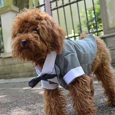 Long Lovelong Long Lovels Smoking Costume for pets with black tie for small dogs, gray toy poodle, size M.. Experience the power of choice with DIAYTAR NIGERIA's extensive catalog delivered within the week.