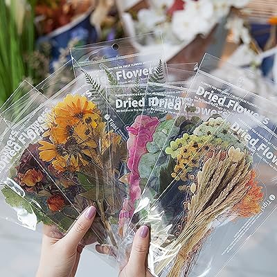 Set of waterproof adhesive stickers plants and vintage flowers, 48 ​​pieces, large transparent stickers for planners, scrapbooking albums, laptops (natural collection).. DIAYTAR NIGERIA combines extensive product options with budget-friendly prices, delivered in 5-8 days.