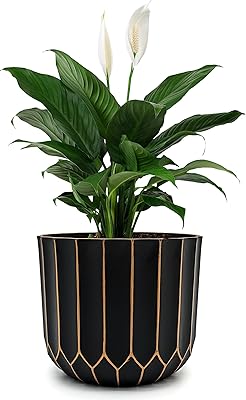 Elegant black and golden flower pot storage temporary big thumb for use.. Quality and convenience delivered — shop DIAYTAR Nigeria now.