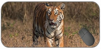 Large game mouse mat with seams on the edges, Predator Tiger 143803 motif, non -slip mouse mat for laptop keyboard.. Your complete shopping solution, DIAYTAR NIGERIA offers extensive choice with competitive prices and delivery.