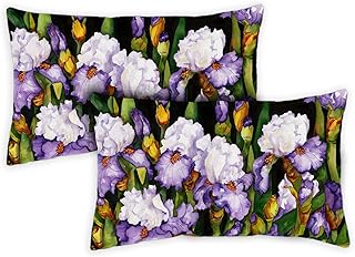 Toland Home Garden Iris in flowers 12 x 19 inches interior/exterior, pillowcase (pack of 2).. Shop from anywhere in Nigeria and receive your DIAYTAR purchases at affordable prices within a week.