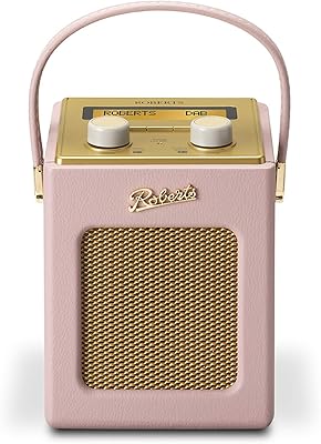 Revival mini dap/dap plus/fm radio - Amazon exclusivity - Portable radio - Dark pink.. DIAYTAR NIGERIA: Where shopping is affordable, selection is vast, and delivery is always reliable.