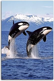 XDTIOPIMY ORQUE SUPPLY POSTER - Wall decoration on canvas - Images on the theme of the blue ocean - Pair of leaps for living room, bedroom, desk, giftless gift 40.6 x 61 cm.. DIAYTAR NIGERIA delivers value, variety, and convenience with our nationwide 5-8 day shipping.