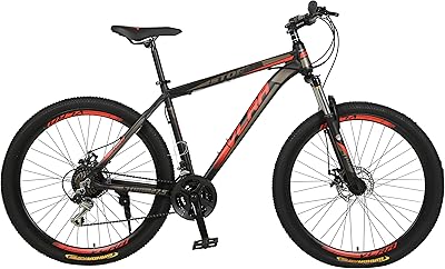 Flara Bike 29 inch 24 -speed mountain bikes Fitness Sports.. DIAYTAR NIGERIA transforms desires into deliveries with our affordable prices and dependable shipping.