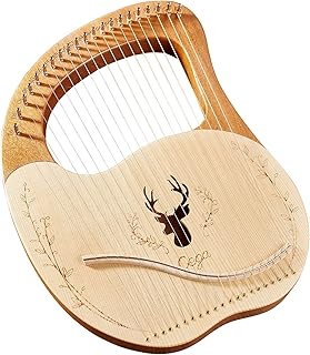 SEGA 21 metal string guitar box, upper mahogany tray with key and mediators.. DIAYTAR NIGERIA: Your partner in affordable online retail with reliable delivery across the nation.