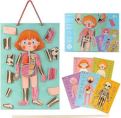 Puzzle human body for toddlers 90 magnetic pieces for children 3 years old and more educational educational toys for children 3 years old and more.. Shop with confidence at Nigeria's leading affordable e-commerce platform with reliable delivery services.