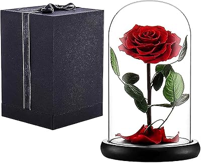 Cool Baby Eternal Enternal Enchanted Forever Rose - Infinite pink in a glass dome - Made from real fresh beauty pink - Romantic gifts for women.. Shop from anywhere in Nigeria and receive your DIAYTAR purchases at affordable prices within a week.