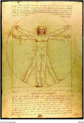 Printed poster The man of Vitruvian of Leonardo da Vinci 30 x 40 cm.. DIAYTAR NIGERIA brings affordable products to every doorstep with our reliable 5-8 day shipping.