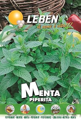 Lipin mint seeds (Menta Piperita) high quality made in Italy from DXB Garden.. Experience shopping without stress at DIAYTAR NIGERIA's comprehensive and budget-friendly platform.