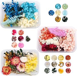 Homarket - Set of 3 boxes of real natural dried flowers, for DIY photo accessories, dried flower packages with patterns for wedding, house, festive decoration.. DIAYTAR NIGERIA: Bringing affordable shopping solutions with a diverse product catalog delivered nationwide.