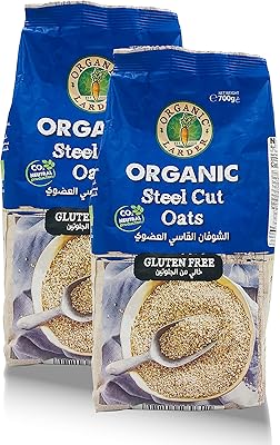 Oat cut into biological steel 700 g, gluten-free, organic pantry (pack of 2).. Discover endless possibilities with DIAYTAR NIGERIA's comprehensive selection and reliable shipping.