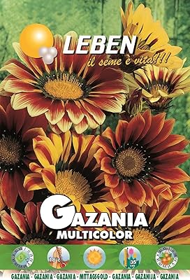 Seeds Lipin Gazania Multicolor High quality made in Italy by DXB Garden.. Your everyday shopping solution, DIAYTAR NIGERIA offers variety and value delivered within 8 days.