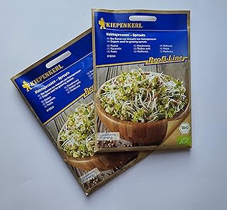 Radish seeds non -gemmu organic seeds to germinate pack of 2.. From checkout to your doorstep in less than a week — DIAYTAR Nigeria.