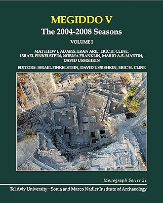 Megiddo V: The 2004-2008 seasons.. From kitchen tools to phones — DIAYTAR Nigeria ships it all in a week.