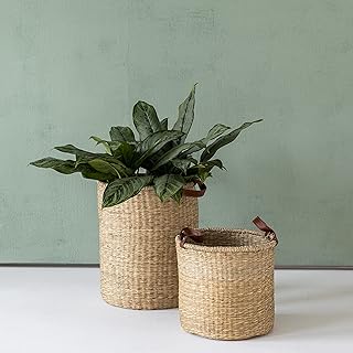 Utopia. Storage basket in Natural Soft Jonk Woven by MORELLA, Large Decorative and Outdoor Decorative Flowers.. DIAYTAR NIGERIA transforms desires into deliveries with our affordable prices and dependable shipping.