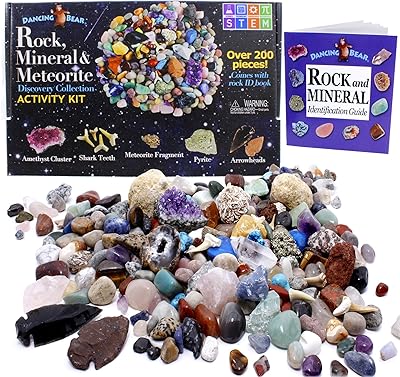 Kit of Dancing Bear Rock & Mineral Collection (set of 200 pieces) with meteorite, real shark teeth fossils, arrow tips, crystals, precious stones, treasure treasure hunting sheet, STEM scientific education, manufactured in the United States.. DIAYTAR NIGERIA: Your partner in affordable online retail with reliable delivery across the nation.