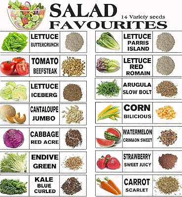 Kit of vegetable seeds for salad - 14 types of 7,600 seeds - curly lettuce, Iceberg lettuce, Roman lettuce, kale, rocket, cabbage, carrot.. Shopping has never been easier — DIAYTAR Nigeria delivers it all in 5–8 days.