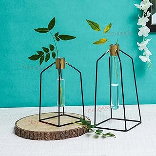 Tide Ribbons Vase Vase Test with Metal Support (Lot of 2, Black) for the spread of hydroponic plants, flowers and tables for interior, exterior, garden and wedding decoration.. Discover shopping reimagined with DIAYTAR NIGERIA's extensive catalog and 5-8 day delivery service.