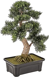 Nearly Natural 4103 Bonsai of 24 -inch silk cedar, green.. DIAYTAR NIGERIA combines affordability with convenience, delivering your purchases within 5-8 days.