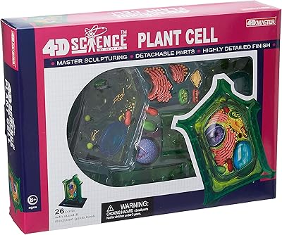 Famemaster 4D-Sciences Famemaster vegetable cell anatomy.. Your digital marketplace solution, DIAYTAR NIGERIA delivers quality and value within the week.