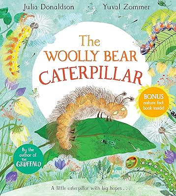 Woolly bear caterpillar.. DIAYTAR NIGERIA provides endless shopping possibilities with affordable prices and prompt delivery service.