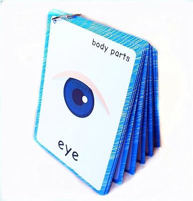 Flash cards Santsun 36 pieces on body parts for toddlers - Flash cards The Holly Bunch - so that you can sort and easily organize cards, tools for kindergarten teachers.. Fast, easy, and affordable — that’s shopping the DIAYTAR Nigeria way.