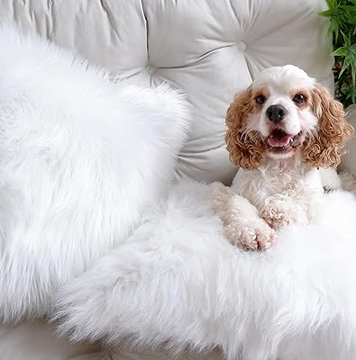 Faux fur cushion cover 45 x 45 cm, cushion cover for sofa, bedroom, car, soft cushion cover for living room, sofa bed, interior decoration (white).. Your trusted shopping companion, DIAYTAR NIGERIA delivers affordable solutions in just 5-8 days.
