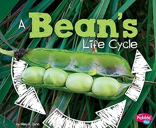 The life cycle of a bean.. Shop from our extensive catalog at DIAYTAR NIGERIA and enjoy doorstep delivery in just 5-8 days.