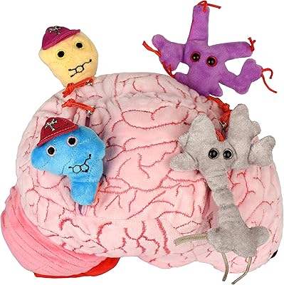 Giantmicrobz luxury brain with plush nerves and nerve transmission devices - realistic anatomical organ of the human brain, educational gift for scientists, students, doctors, teachers, neuroscience, psychology.. Discover endless shopping possibilities at DIAYTAR NIGERIA, with budget-friendly prices and reliable delivery.