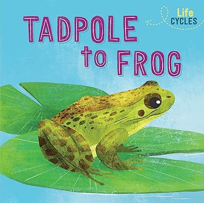 Life cycles: From tadpole to frog.. DIAYTAR NIGERIA delivers on our promise of variety, affordability, and prompt nationwide service.