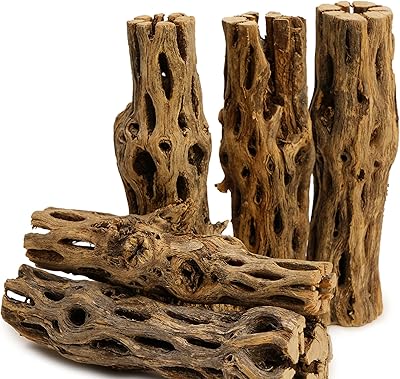 Natural cholla wood napiper | 5 rooms 5-6 "natural cholla wood for decoration of hermit and shrimp aquarium aquarium.. Nigeria's most diverse e-commerce platform delivers quality and affordability to your doorstep in 5-8 days.