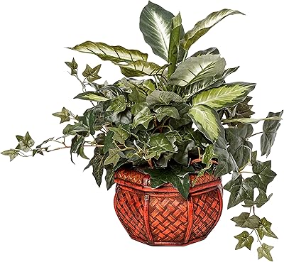 Dieffenbachia and Ivy 6732 doll almost natural with ornamental planter, green.. Discover more ways to save — every day on DIAYTAR Nigeria.